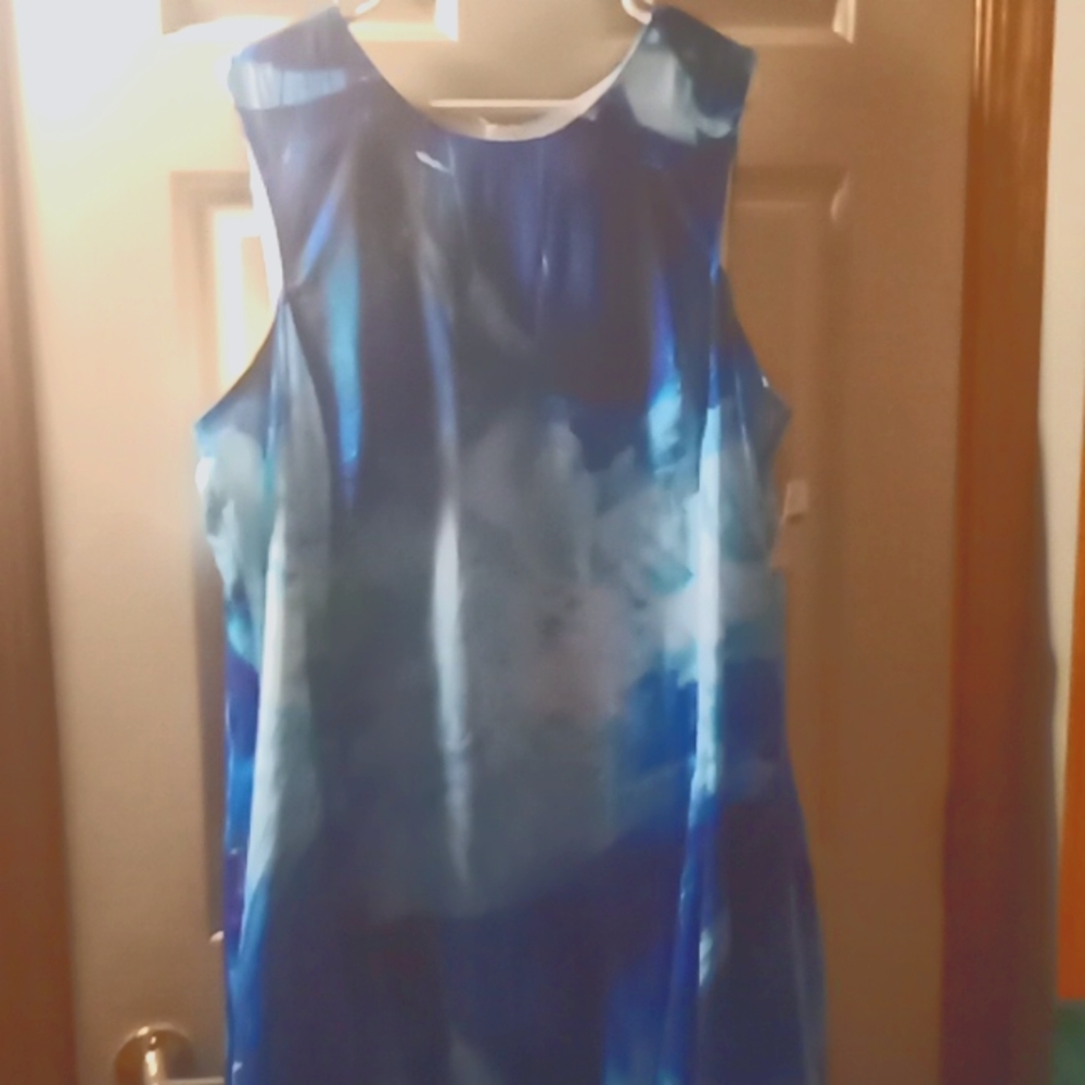 Lane Bryant midi dress